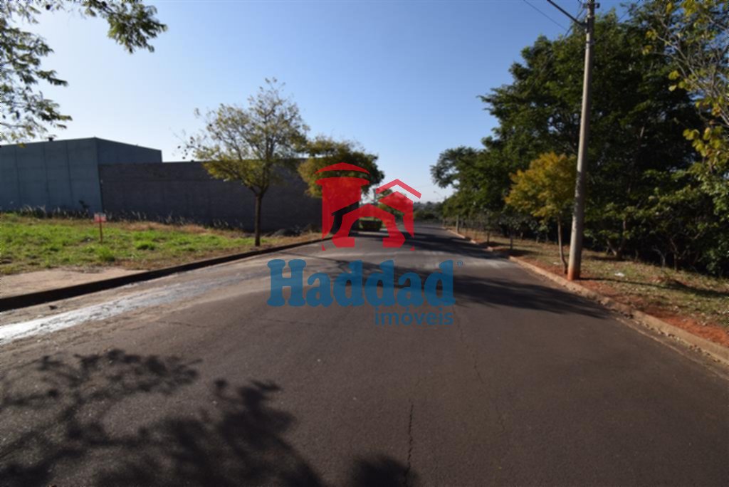 F15362A.JPG